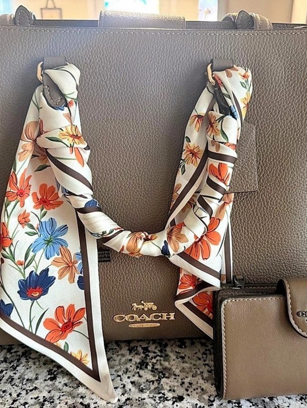 Coach Town Tote Brown Bag with Wallet